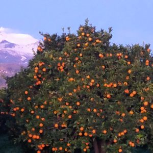 esterni-2023-32