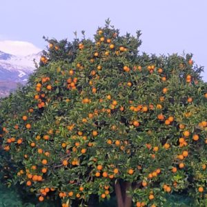 esterni-2023-38
